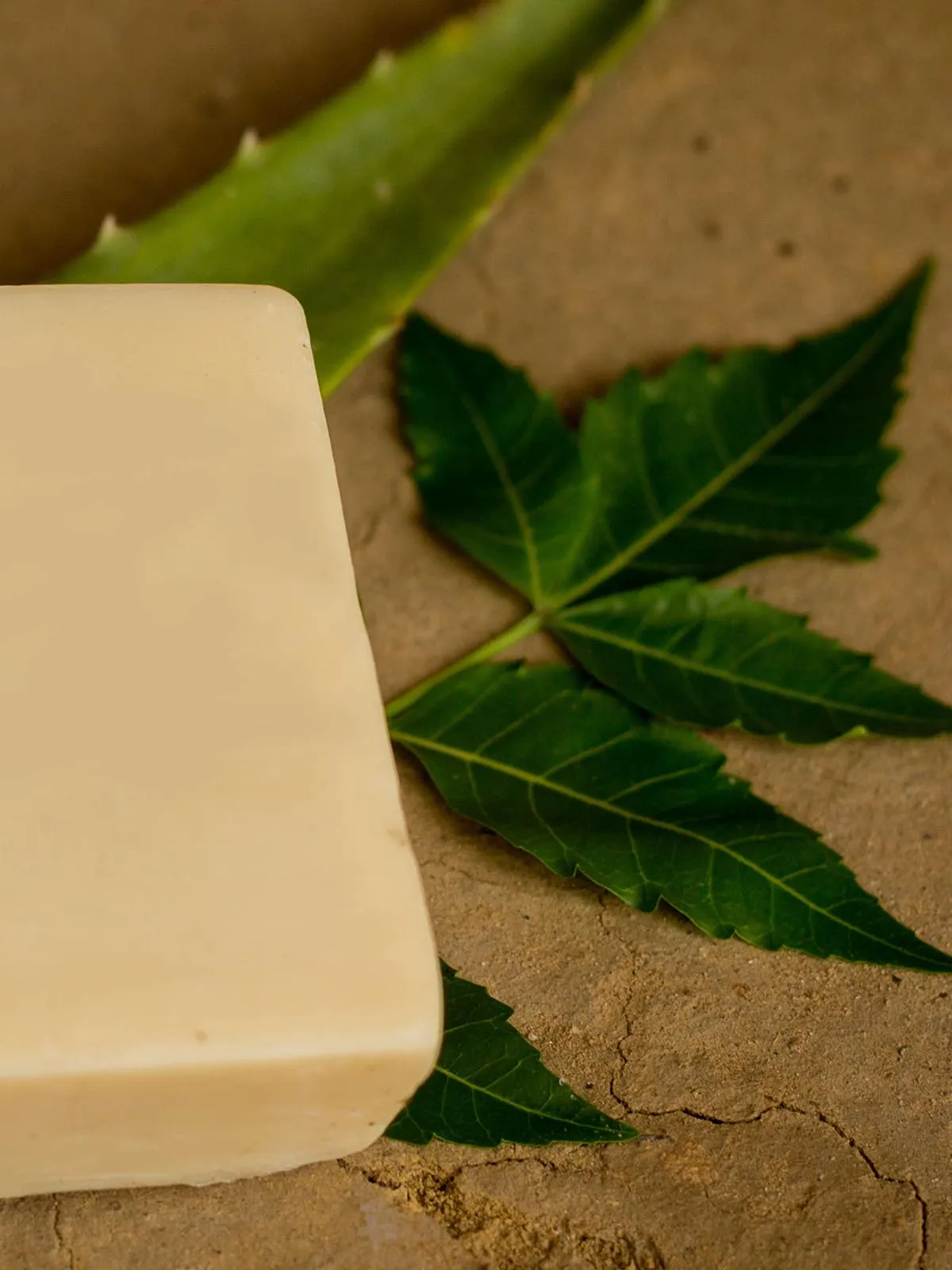 Aloe Neem Tea Tree Soap