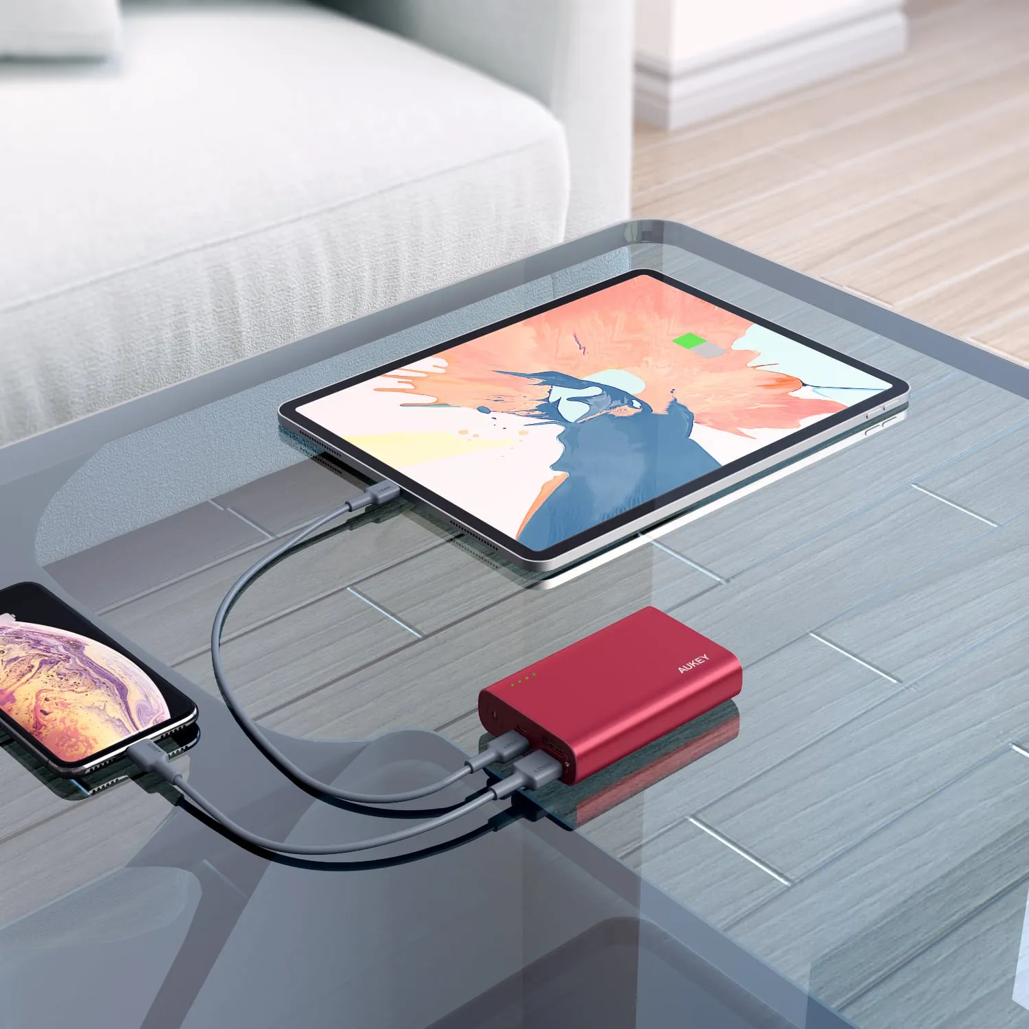 PB-XD12 10000mAh USB C QC3.0 And Power Delivery Premium Power Bank