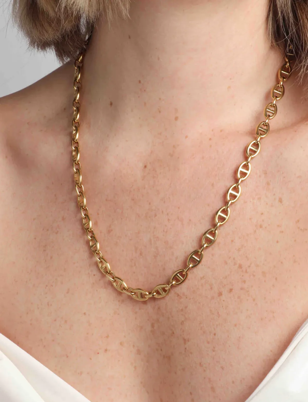 stallion chain
